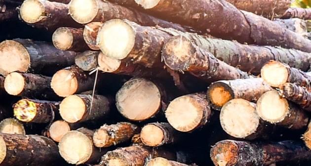 Logs